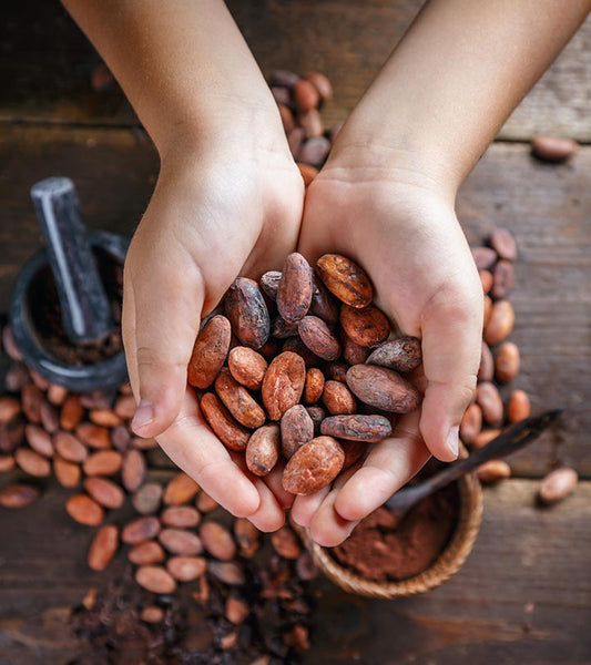 Health Benefits of Drinking Cacao Daily